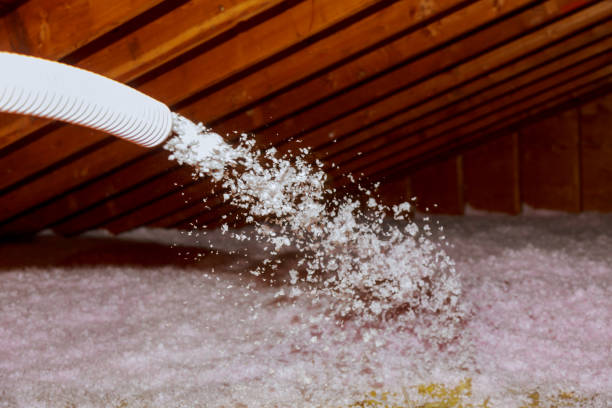 Best Residential Insulation Services  in Oceana, WV