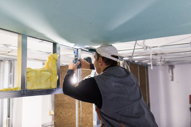 Best Insulation Removal  in Oceana, WV