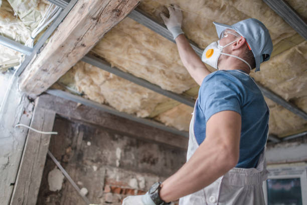 Professional Insulation Contractor in Oceana, WV