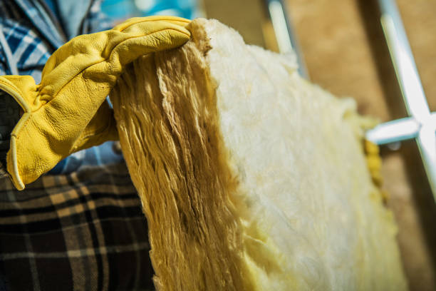 Best Spray Foam Insulation  in Oceana, WV