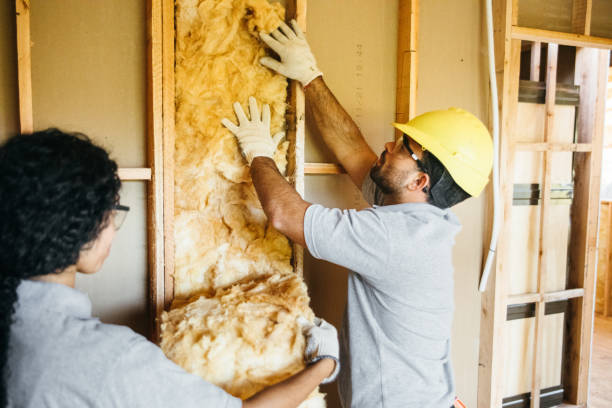 Best Spray Foam Insulation  in Oceana, WV