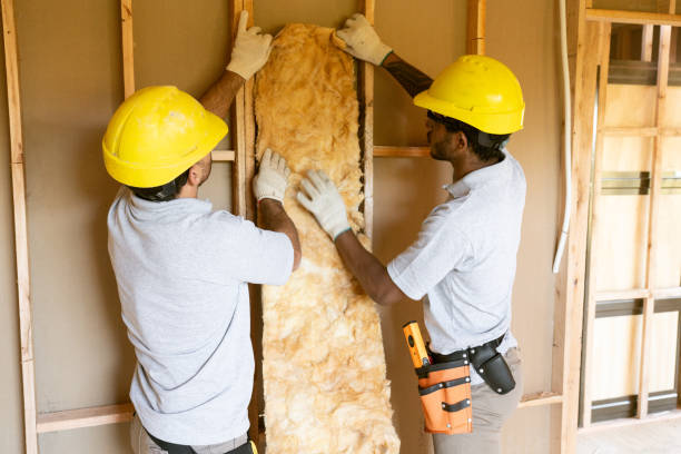 Best Commercial Insulation Contractor  in Oceana, WV