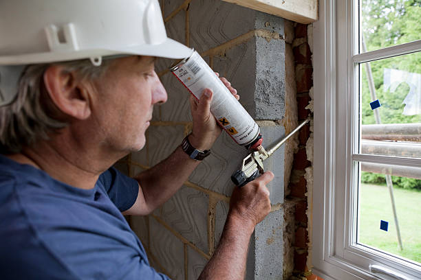 Best Home Insulation Services  in Oceana, WV