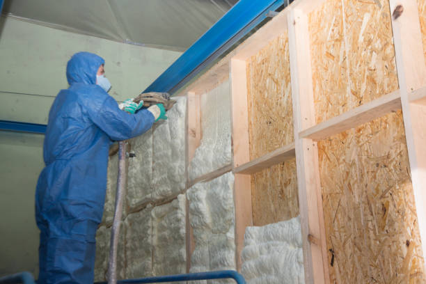 Best Wall Insulation Contractor  in Oceana, WV