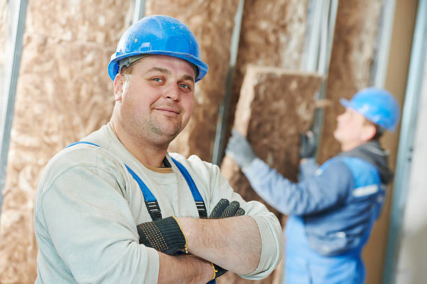 Best Local Insulation Services  in Oceana, WV