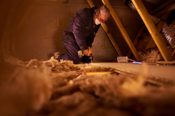 Best Affordable Insulation Services  in Oceana, WV