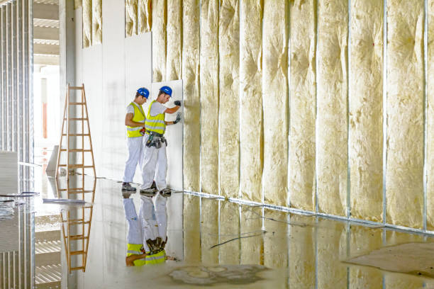 Best Soundproof Insulation Installation  in Oceana, WV